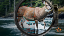 How Optical Coatings Affect LPVO Clarity and Durability